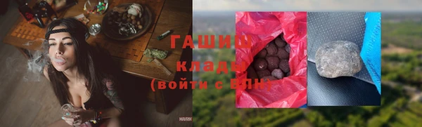 индика Покачи