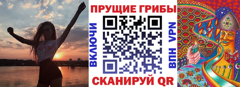 Купить Игра Галлюциногенные грибы мицелий