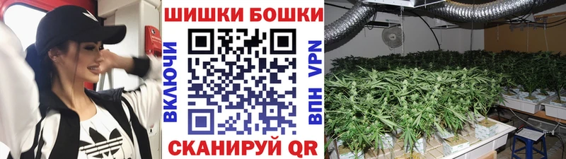 Шишки марихуана индика  Купить  Игра 